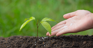Cómo los Biofertilizantes Ayudan a Restaurar la Salud del Suelo y Mejorar los Rendimientos